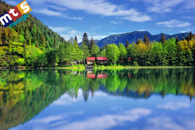 KARAGÖL TORTUM ŞELALESİ